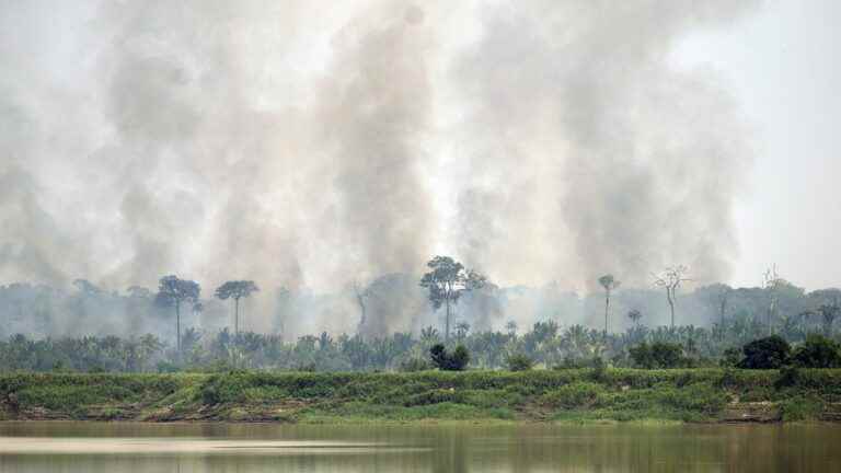 The Amazon more than ever in flames as the elections approach in Brazil