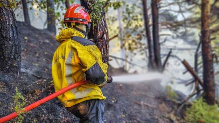 The Col de Tende fire is still active and has burned nearly 8 ha