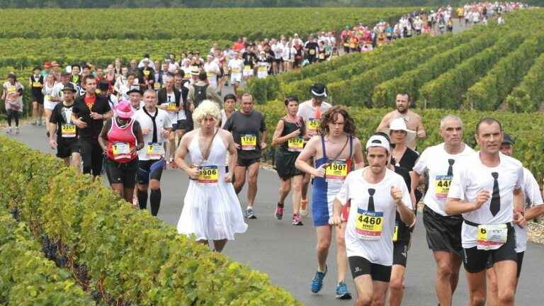 The Marathon du Médoc won by Freddy Guimard for the third time, Sandra Gouault first woman