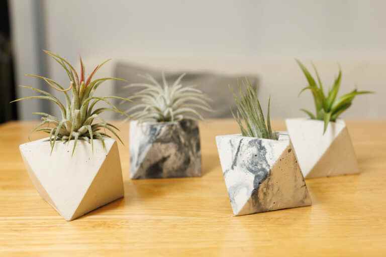 The Mimipots |  When concrete becomes art