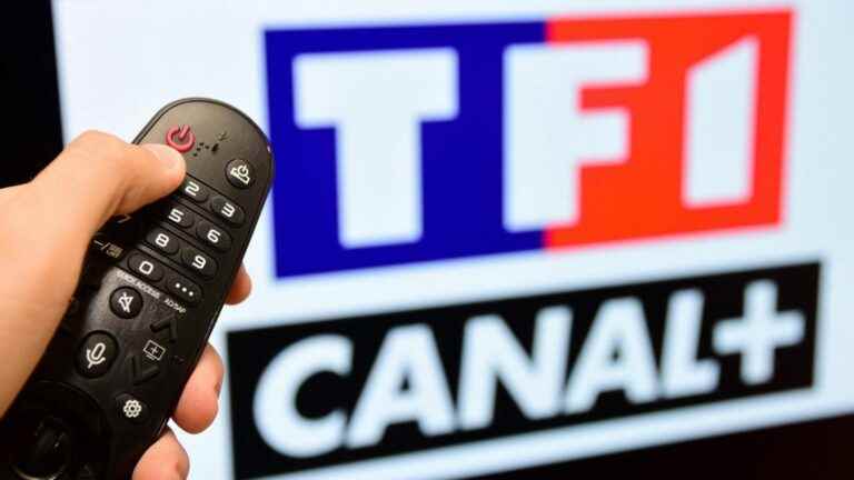 The Minister of Culture asks Canal+ to restore TF1 to its TNT Sat offer