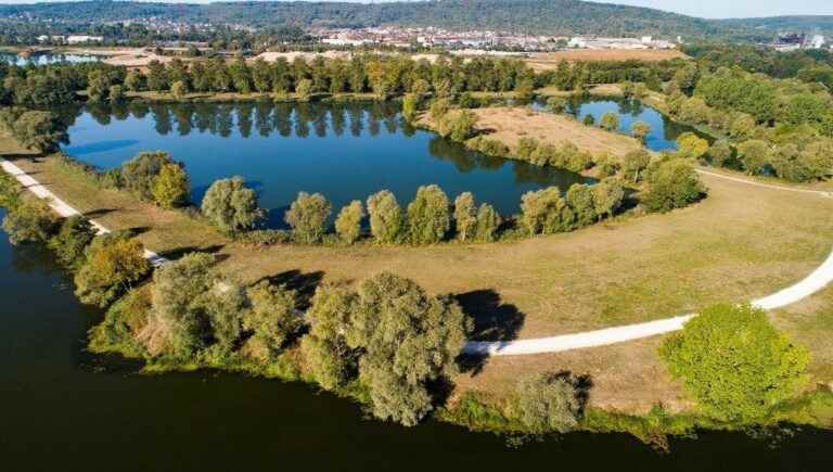 The Muller federal ponds, in Atton, near Pont-à-Mousson