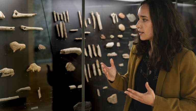 The National Museum of Prehistory of Les Eyzies participates in the European Heritage Days