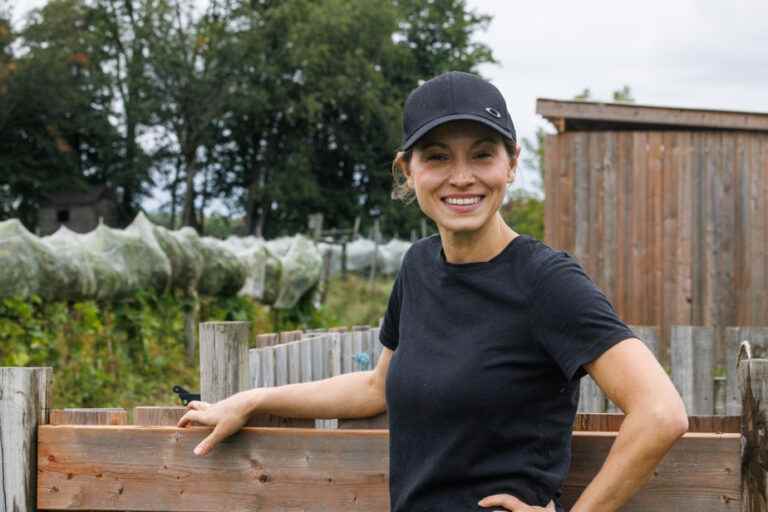 Harvest time |  The Nordic viticulture of Véronique Lemieux