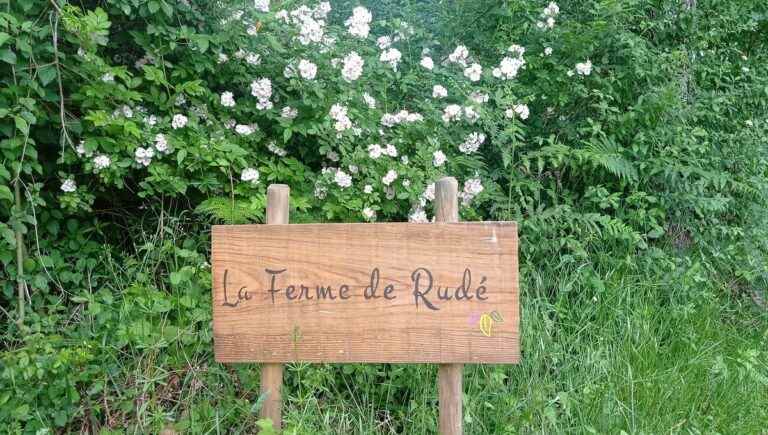 The Rudé farm in Parleboscq, a small farm in turmoil