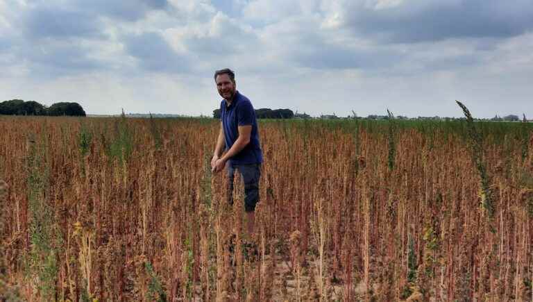 The Seeds of Gus