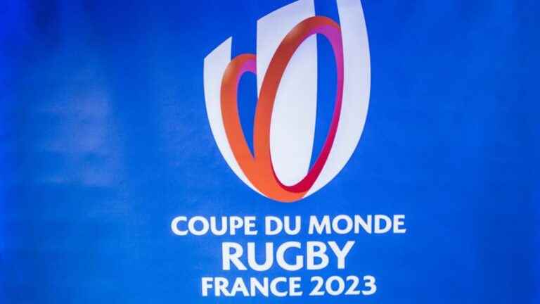 “The green tide will break in 2023”, in Tours optimism reigns to welcome Ireland