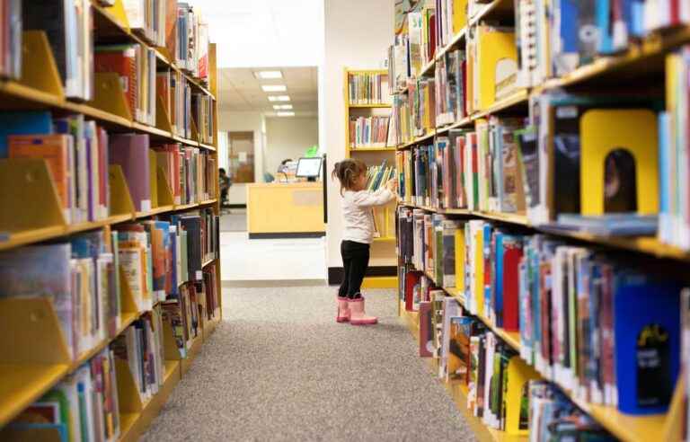 The library, an open door to literacy