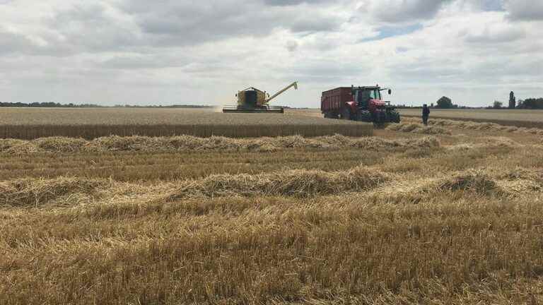 The new eco – a 15% drop in yield this year for crops in Côte-d’Or