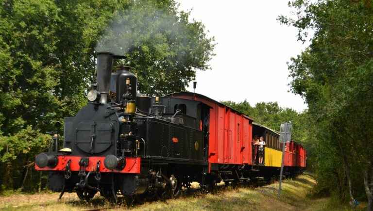 The seagull train at Saujon station (17)