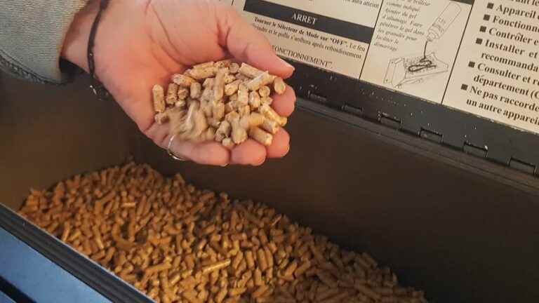 The shortage of wood pellets does not spare the Côte-d’Or