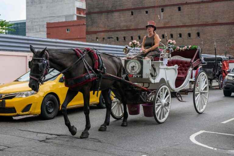 Threat to Manhattan horse-drawn carriages