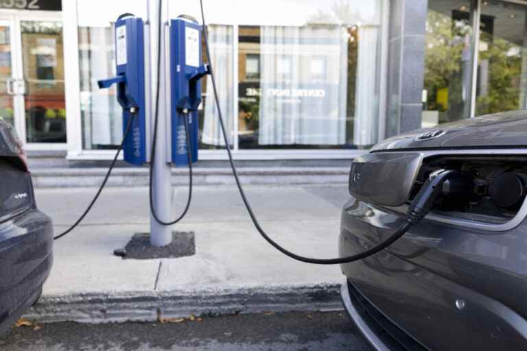 Transport electrification |  Electric circuit: 33 million liters of gasoline saved in 10 years