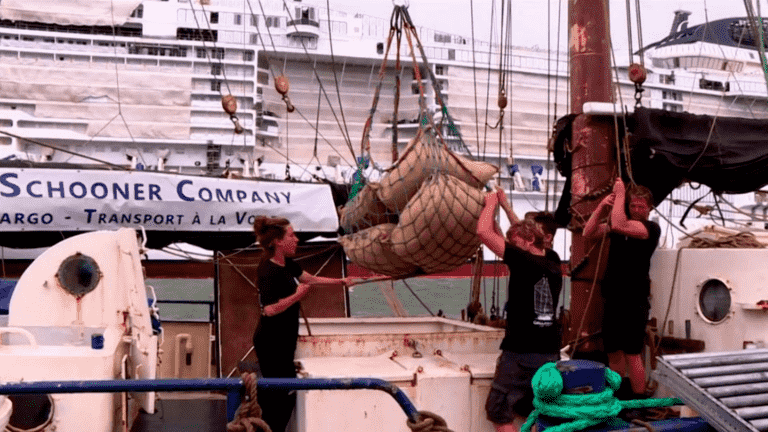 Transport: sailing, a carbon-free means used by a chocolate maker to import his cocoa beans