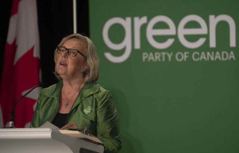 Two duos are running to lead the Green Party of Canada