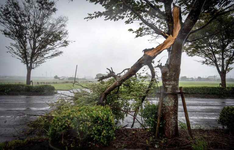 Typhoon “Nanmadol” hits the Japanese coast hard