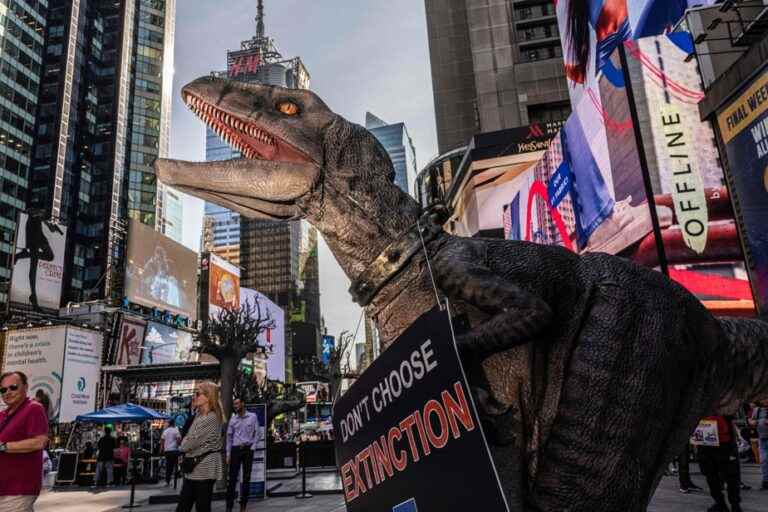 UN |  In New York, “Frankie the Dino” roars for the climate