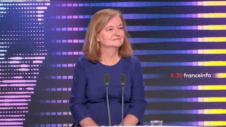 MEP Nathalie Loiseau “wishes France to do more” and “Germany a lot more”