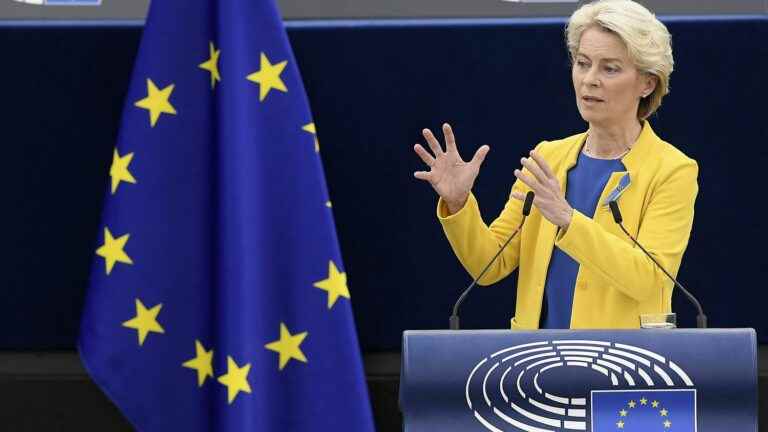 Ursula von der Leyen promises “solidarity” with kyiv, without convincing all MEPs