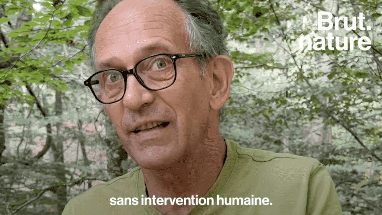 VIDEO.  Jean-François protects the forests by buying them with his association