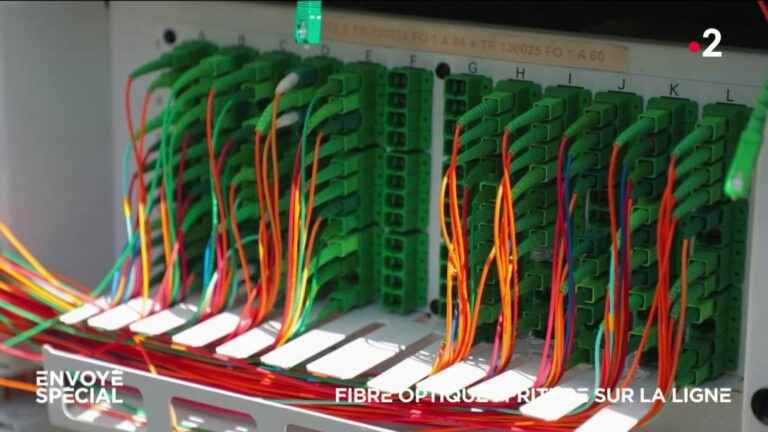 VIDEO.  Optical fiber: frying on the line