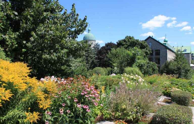 Visiting the convent complex of the Musée des Hospitalières is a guaranteed journey through time