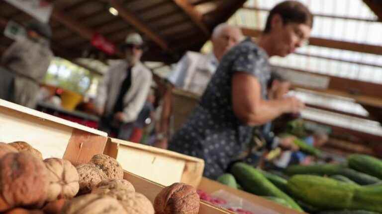 Walnuts: the crunchy Périgord