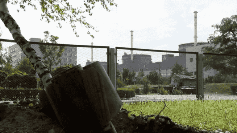 War in Ukraine: report on the Zaporizhia power plant in Russian hands