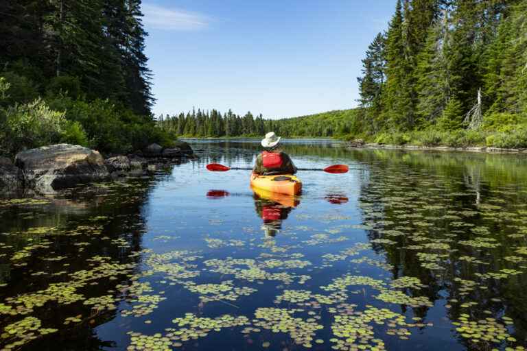 Water bodies and invasive species