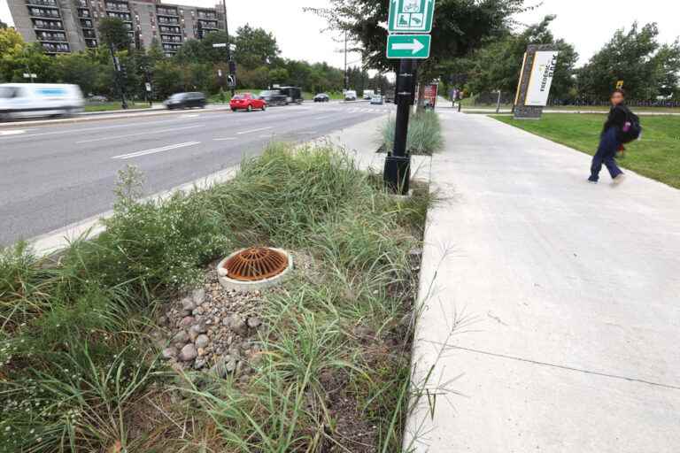 Water management in Montreal |  “We are really in an emergency situation”