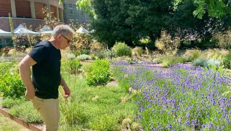 We cook with Pierre Didierjean, director of parks and gardens of Nancy and chef Morgan Fady