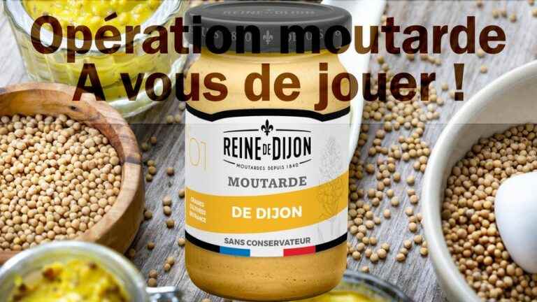 We offer you your Queen of Dijon mustard jar ?