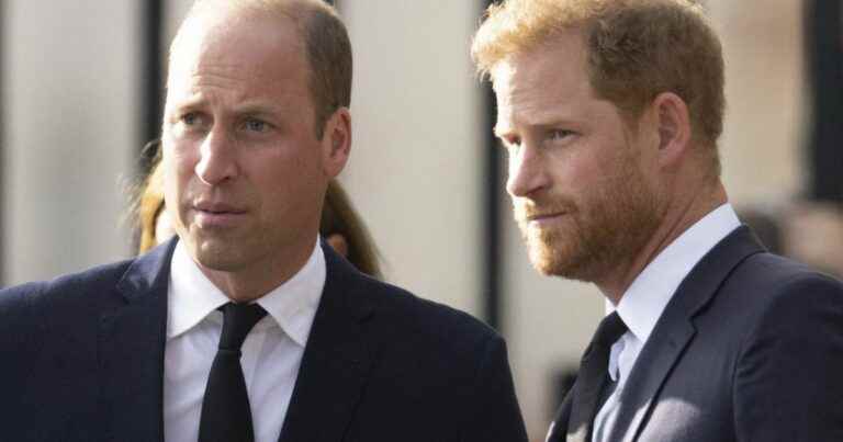 William and Harry reconciled?  Obvious signs of peace between the “enemy brothers” revealed…