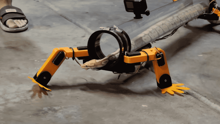 a Youtuber makes robotic legs for snakes