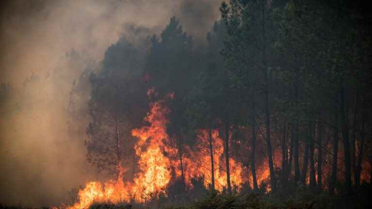 a balance sheet of 3,500 hectares burned after “a restless night”