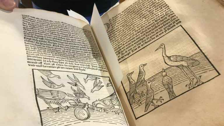 a book from 1493 presented to enthusiasts of the Humanist Library