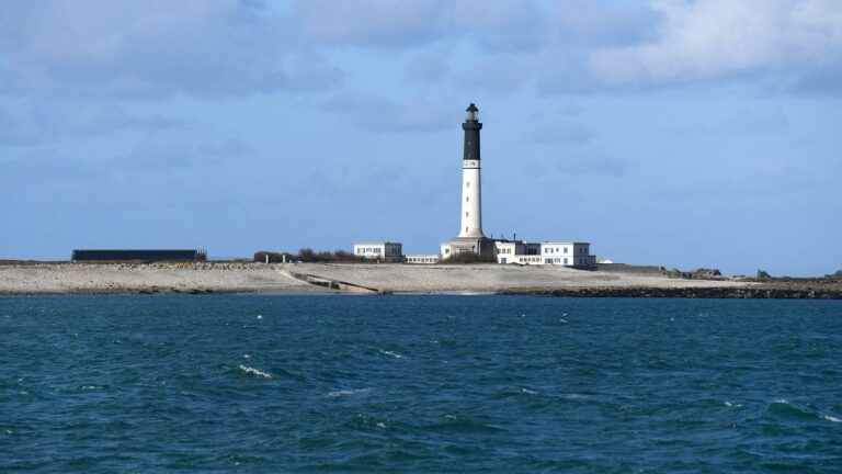 a cetacean 15 to 20 meters long stranded on the island of Sein