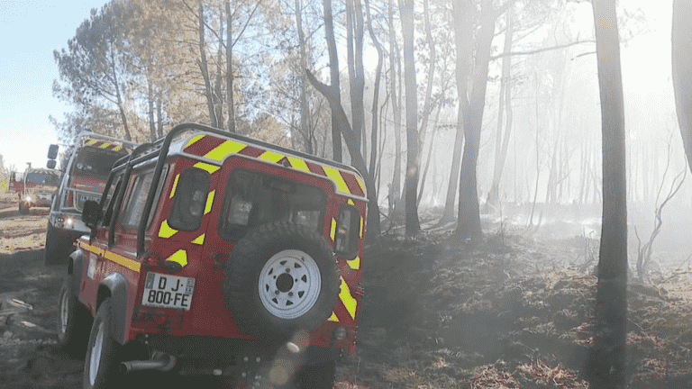 a new forest fire broke out on Monday