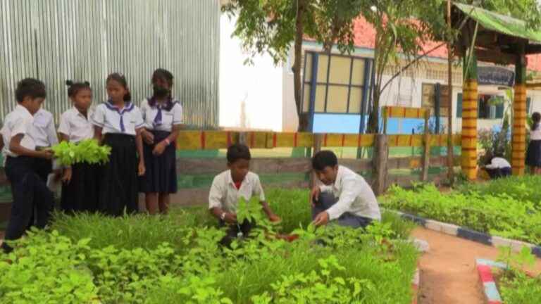 at the heart of a school that fights against child malnutrition