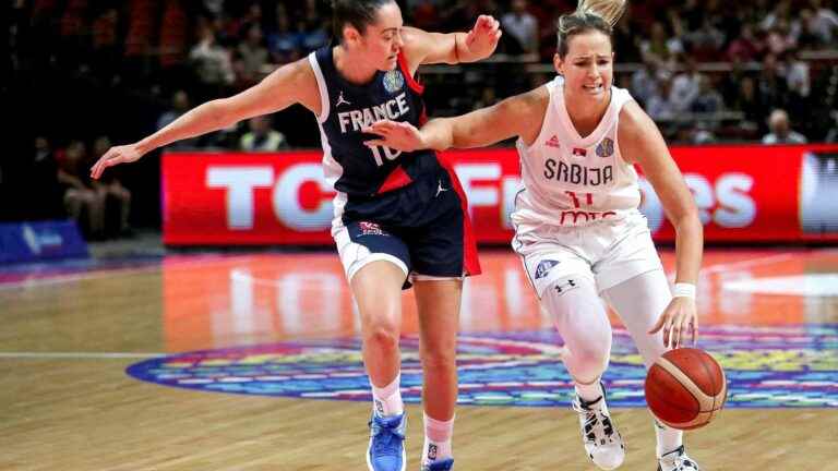 beaten by Serbia, France runs the risk of playing the United States in the quarter-finals