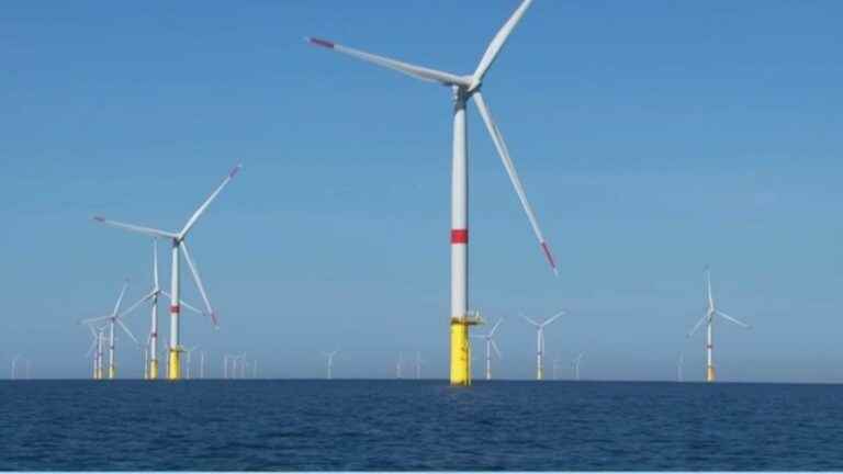 first wind farm at sea, Julien Bayou suspected of violence and Jean Castex in the metro… the news of the week