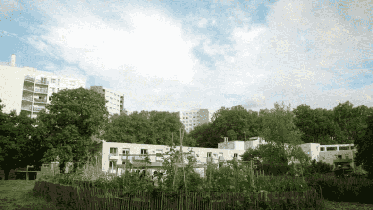 in Nantes, solidarity vegetable gardens cultivated by the City for small budgets