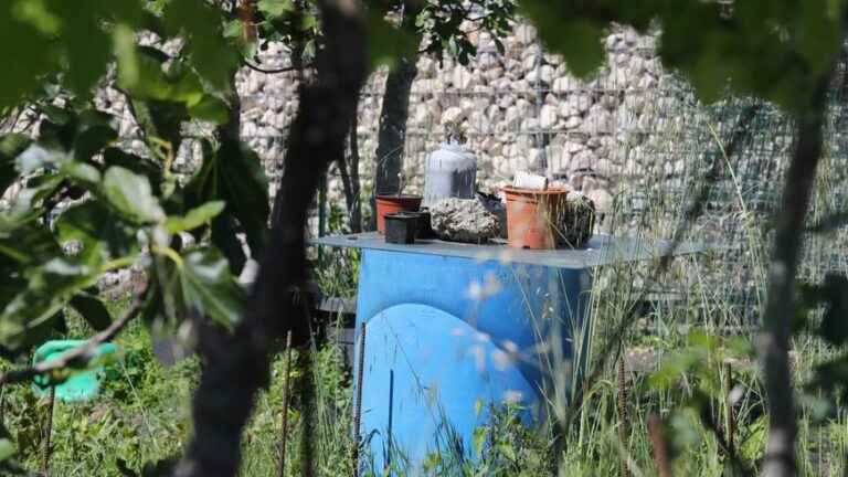 in Périgueux, local residents exasperated by the tiger mosquito