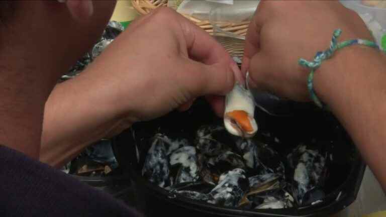 more than 500 tons of mussels consumed