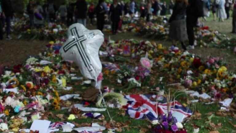 tens of thousands of flowers near Buckingham Palace