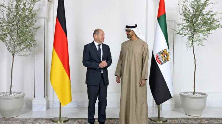 the United Arab Emirates will supply Germany with liquefied gas and diesel