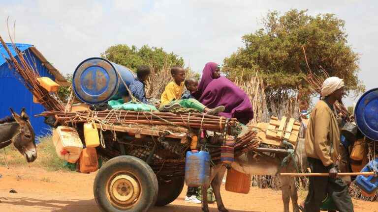 the cry of alarm from the special envoy of a country on the brink of famine