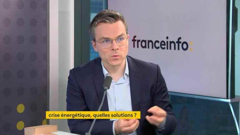 “the only solution that works is European mobilization to save energy”, according to researcher Thomas Pellerin-Carlin