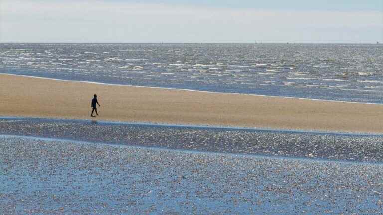 two women and a child trapped by the tide