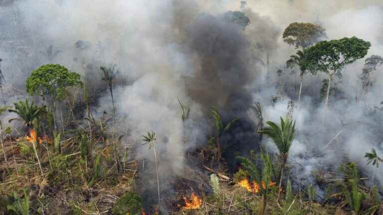 with Jair Bolsonaro, fires have never been so numerous in the Amazon